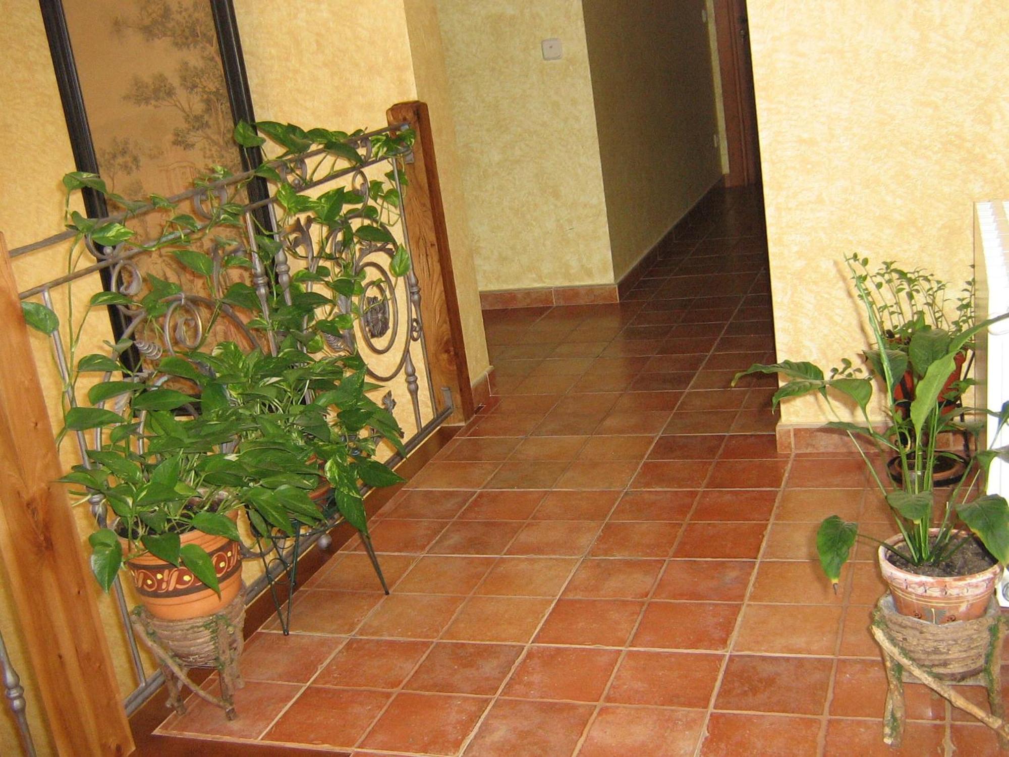Hotel Rural El Museo Cedillo de la Torre Exteriör bild
